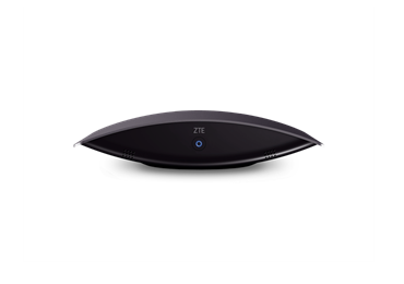 ZTE ET312��Ƶ���鱨��,������Ƶ����ϵͳET312�۸�,����ET312ά��